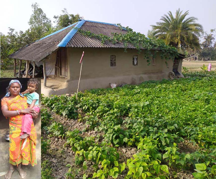 It was logistically and financially difficult to deliver food items to the remote areas of Sundarbans on a regular basis. So SAI executed the idea of a ‘nutrition garden.