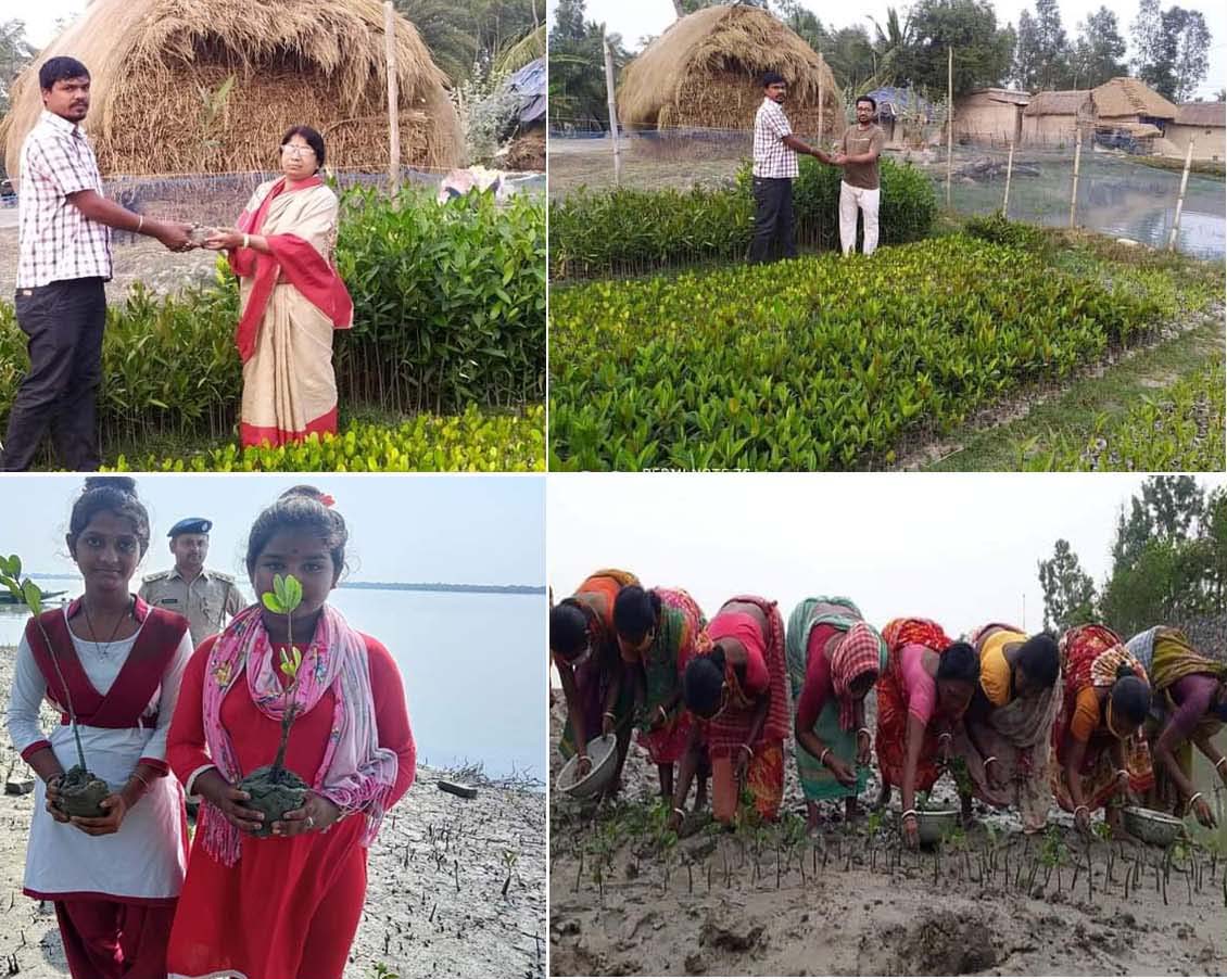 July 26th is International Mangrove Conservation Day. The Mangroves of the Sundarbans are the largest forest in the world. Therefore, it is the duty of all of us to protect this forest.