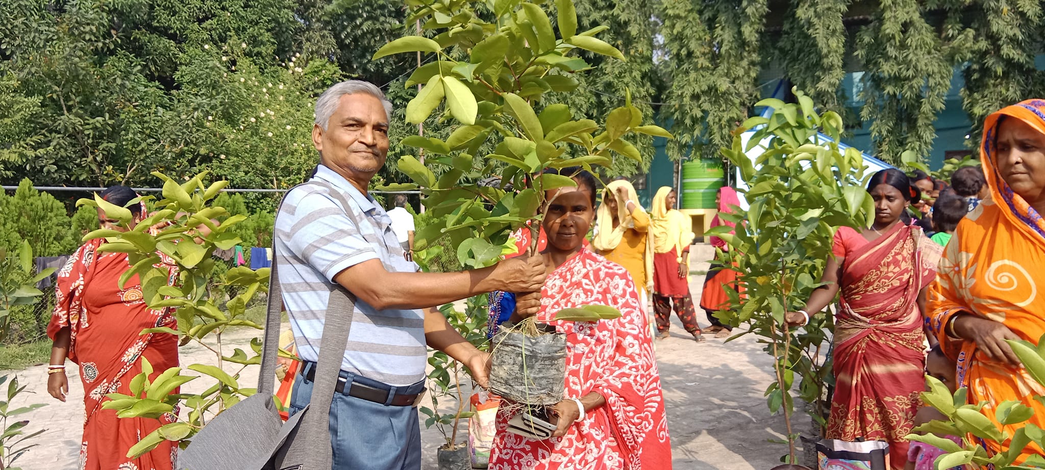 The Cyclone has destroyed the fruits trees many homes in the Sundarbans. Fruit trees in the backyard. In this ideas, we distributed the WaterApple tree saplings were distributed.