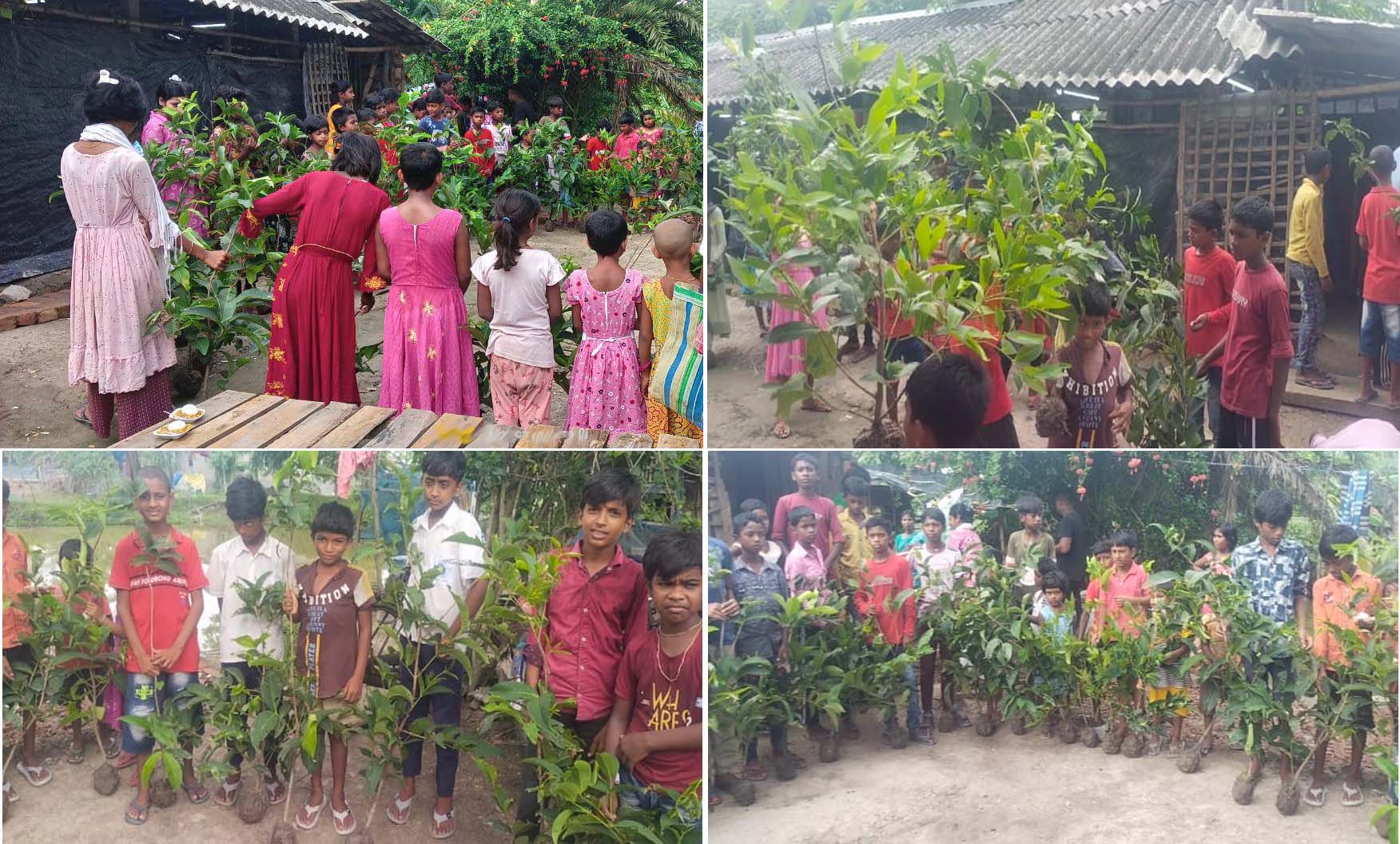 On World Environment Day, fruit saplings were given to the students of Nonamatir Pathsala.